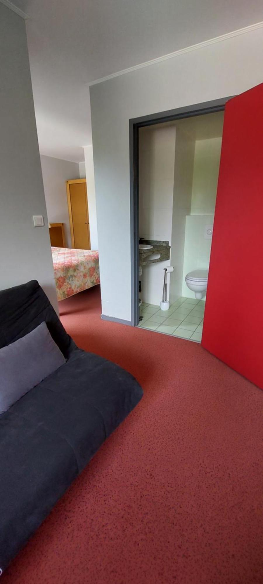 Logis Hotel Restaurant Le Cygne Yssingeaux Kültér fotó